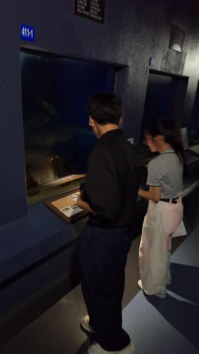 夜の水族館