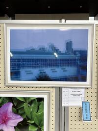 IMG_1433.jpg