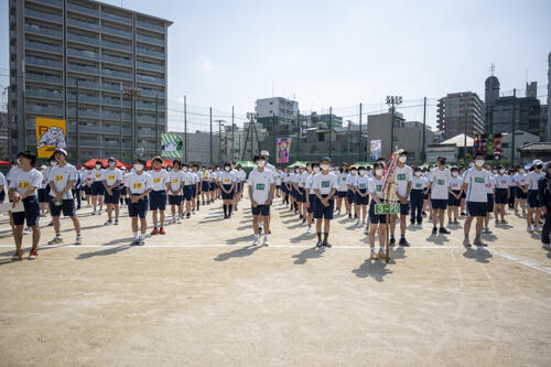 DSC_5686T.JPG
