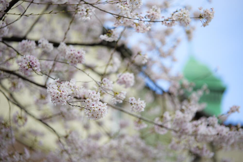 https://www3.osaka-c.ed.jp/blog/kogei-t/BLOG-V/HPP10201172.jpg