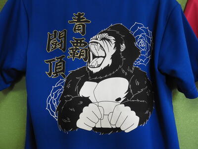 青　Tシャツ.JPG