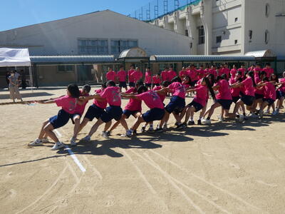 P1000698.JPG