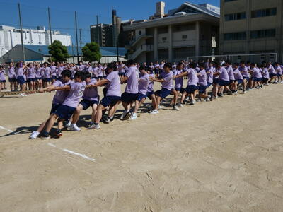 P1000702.JPG