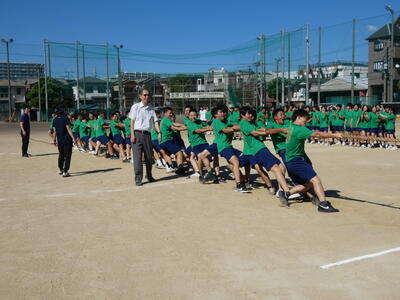 P1000703.JPG