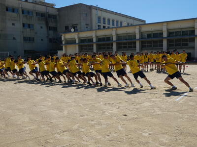 P1000705.JPG