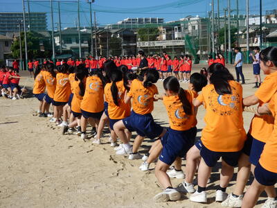 P1000708.JPG