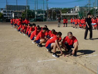 P1000710.JPG
