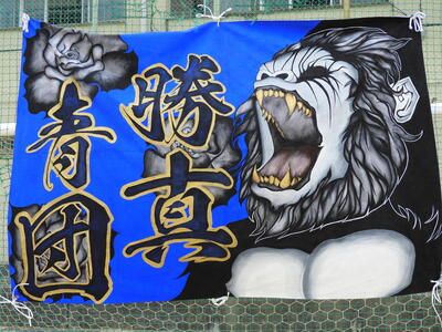 青　旗.JPG