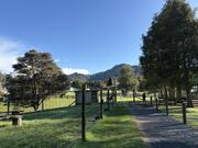 IMG_9103.jpeg