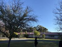 IMG_0209.jpeg