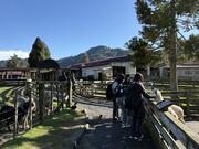 IMG_9098.jpeg