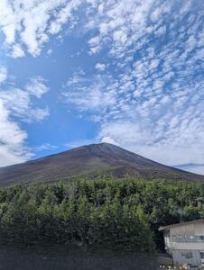 IMG_1122.JPG
