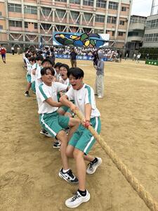IMG_9261.JPG