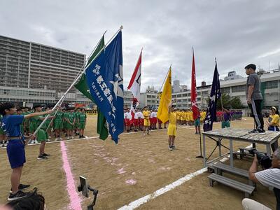 IMG_9359.JPG