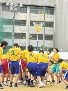 IMG_9490.JPG