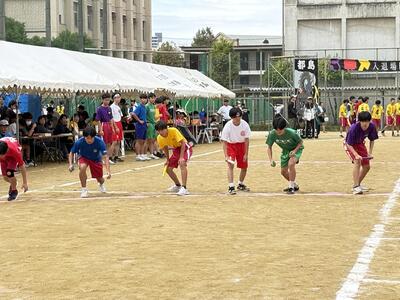 IMG_9550.JPG