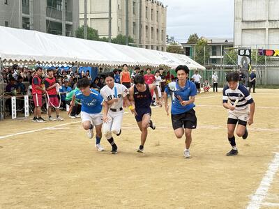 IMG_9595.JPG