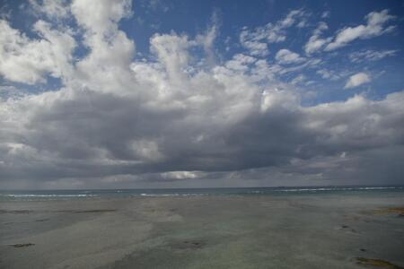 S__323084296.jpg