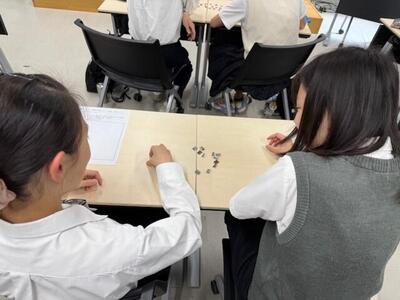 駒取り.jpg