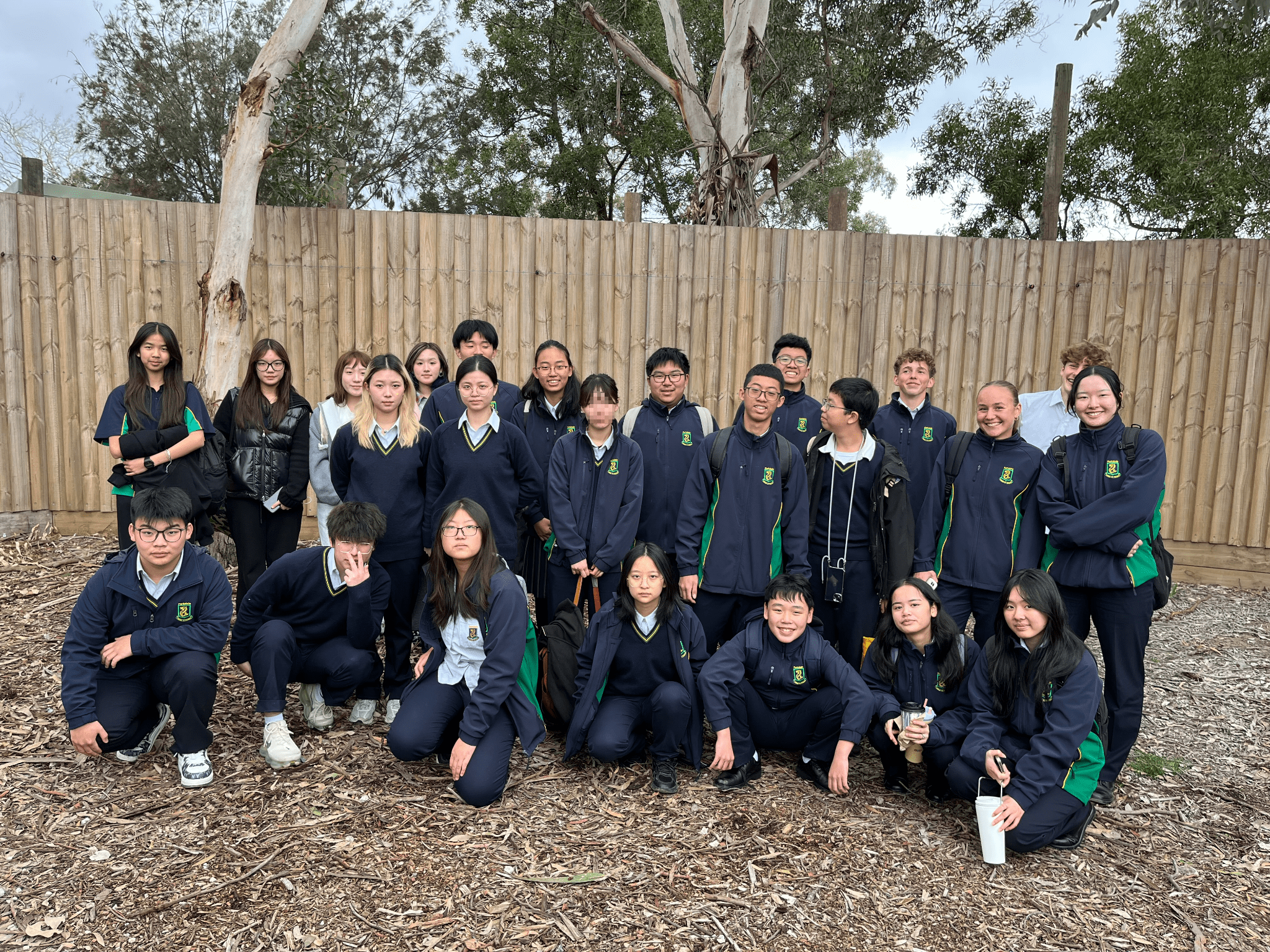 mosaic_20250822101243 (1).png
