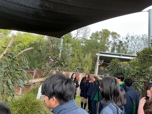 IMG_0331.jpeg