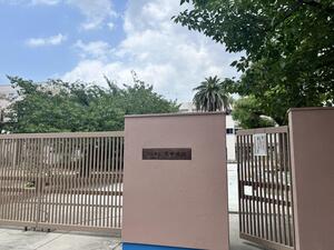 IMG_4858.jpeg