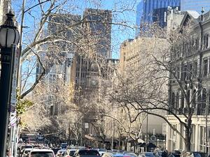 IMG_5325.JPG