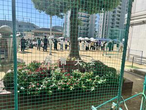 IMG_5826.JPG