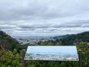 IMG_5846.JPG