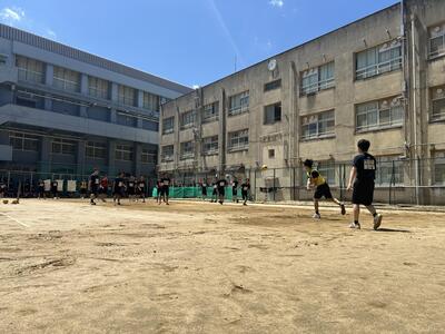 IMG_8528.jpeg