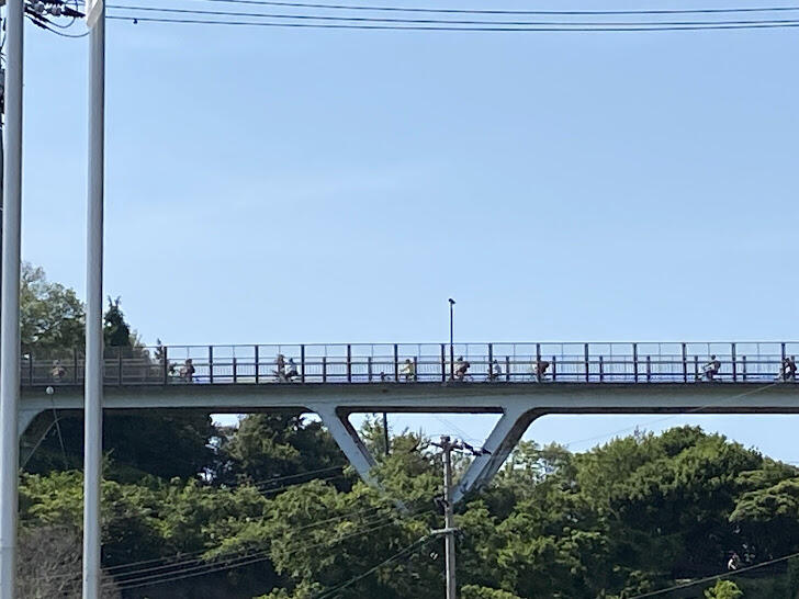 2025年5月14日（15_39）(3).jpg