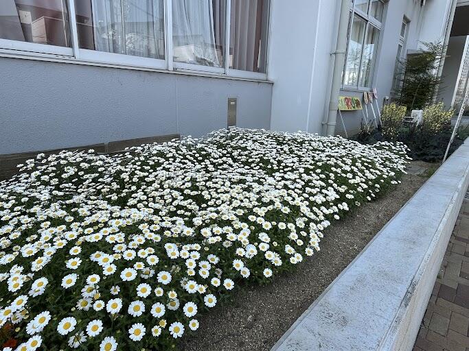 2025年4月30日（13_53）(2).jpg