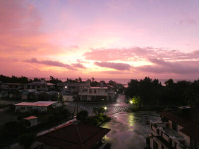 P1010901-2.jpg