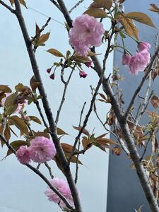 IMG_6348.jpeg
