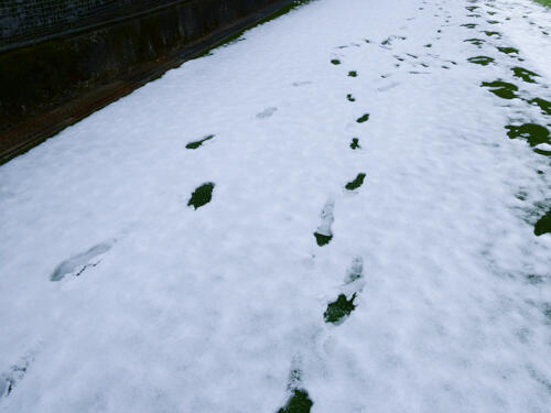 P1044844-2.jpg