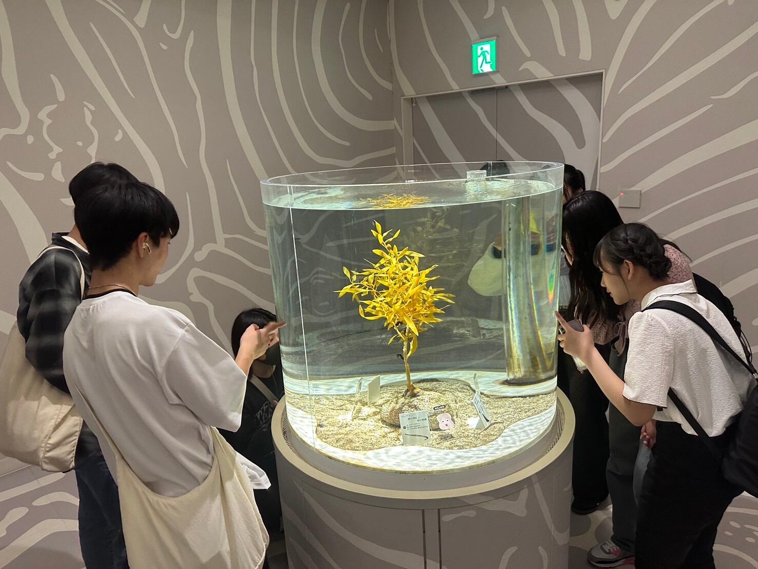20240426校外学習6.JPG