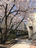 IMG_1042.jpeg