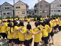 25_黄.jpg