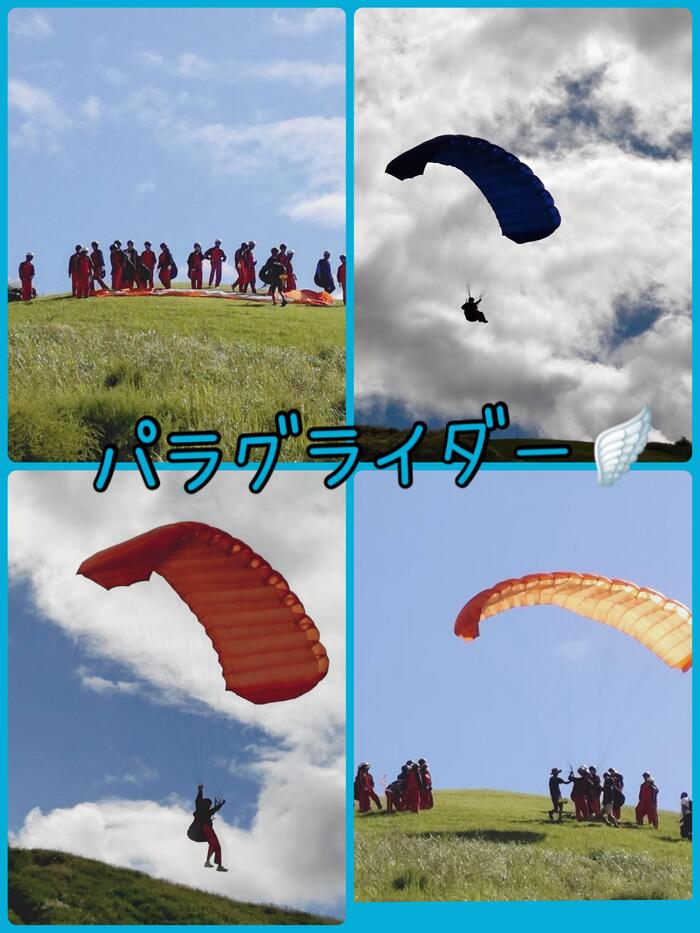 IMG_9762.jpeg