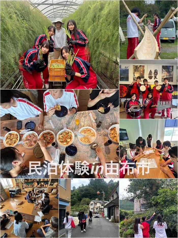 IMG_2914.jpeg